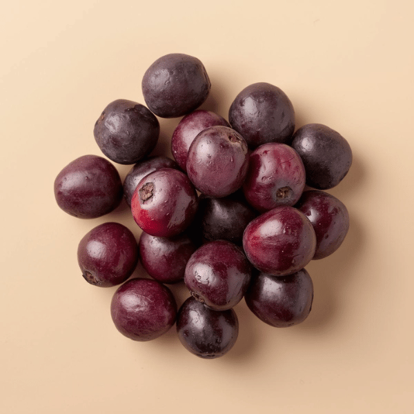 Acai ber ríkt af andoxunarefnum fyrir detox og orku