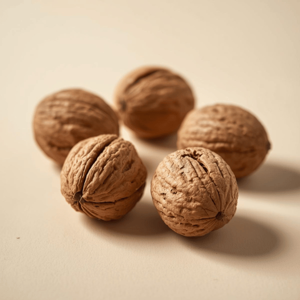 Black Walnut náttúruleg jurt sem styður hreinsun og meltingu